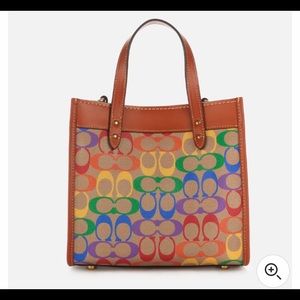 Coach handbag tan with pride / rainbow